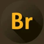 Adobe Bridge CC 2019 Full​ ฟรี โปรแกรมจัดการไฟล์ Adobe